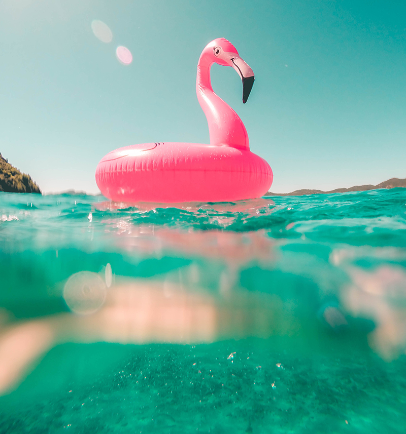 an image of a silicon flamingo in the water of the sea