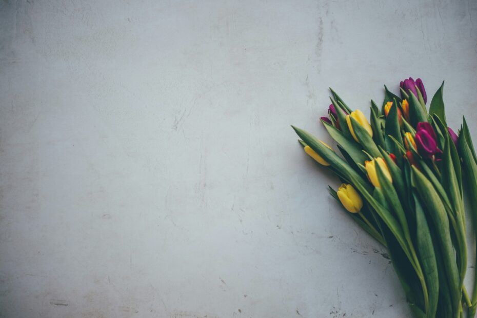 A bouquet of tulips in yellow, purple, and red lying on a textured light gray surface, symbolizing sympathy and remembrance, often associated with gestures of support during bereavement leave
